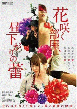 女性伦理电影一间自己的房间海报